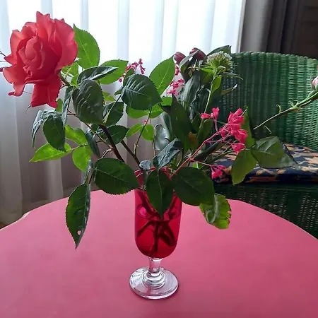 Le Logis De La Tour Loudun